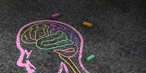 Outline of human head and brain drawn in coloured chalk